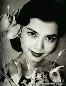 借贷宝陈思思在线观看,揭秘借贷宝平台上的神秘人物